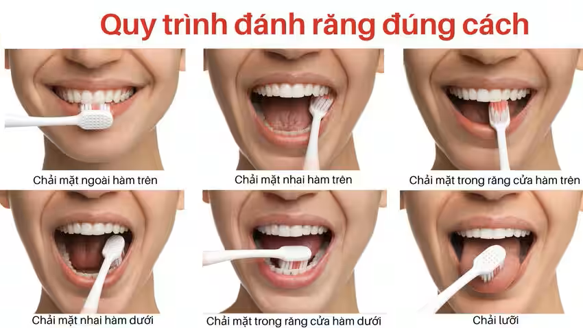 tooth brushing procedure ZAVATESLA Cách Chăm Sóc Răng Miệng Như Thế Nào Để Có Nụ Cười Đẹp? chăm sóc răng miệng chăm sóc răng miệng,nụ cười đẹp